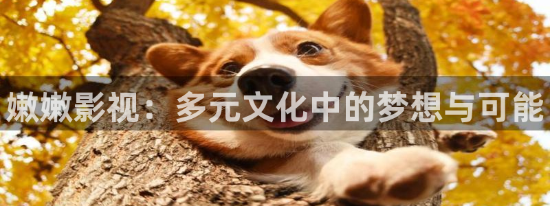 紅葉影城今日影訊：嫩嫩影視：多元文化中的夢想與可能